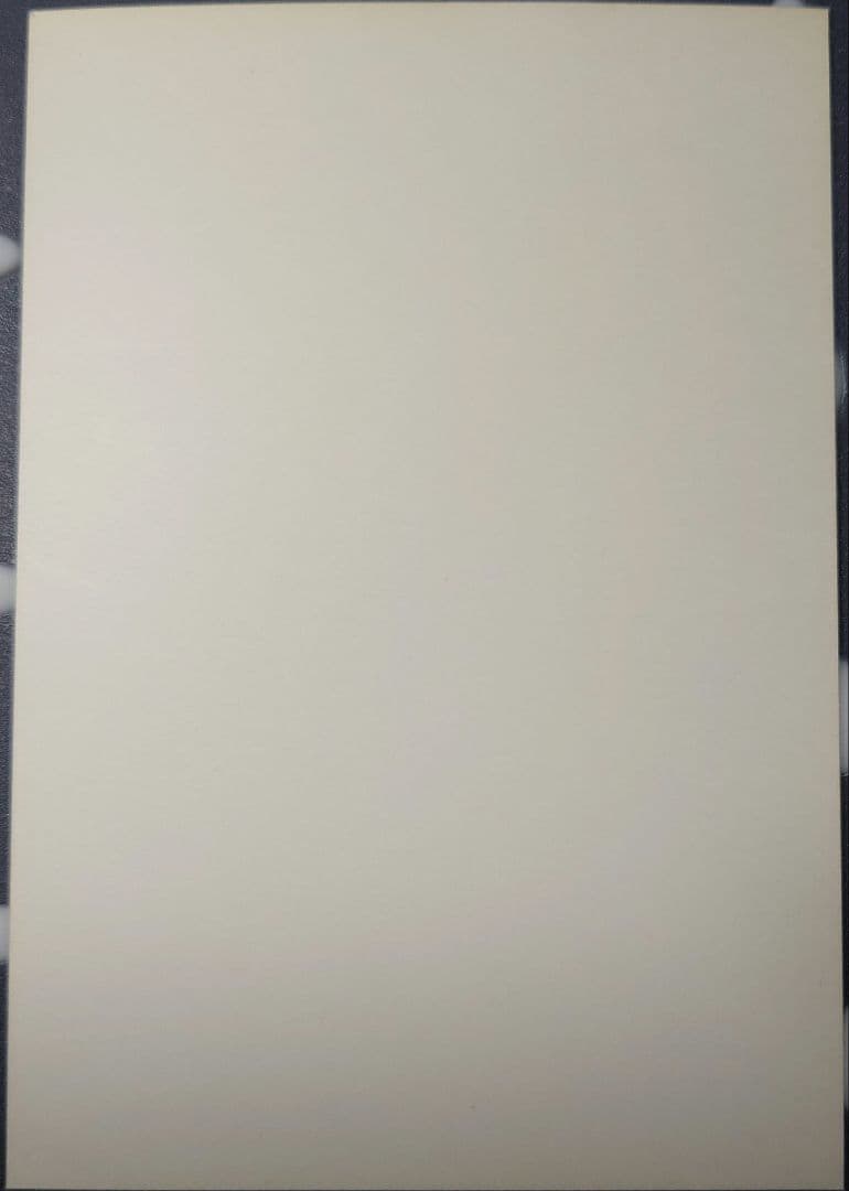 中森明菜 写真(超レア)