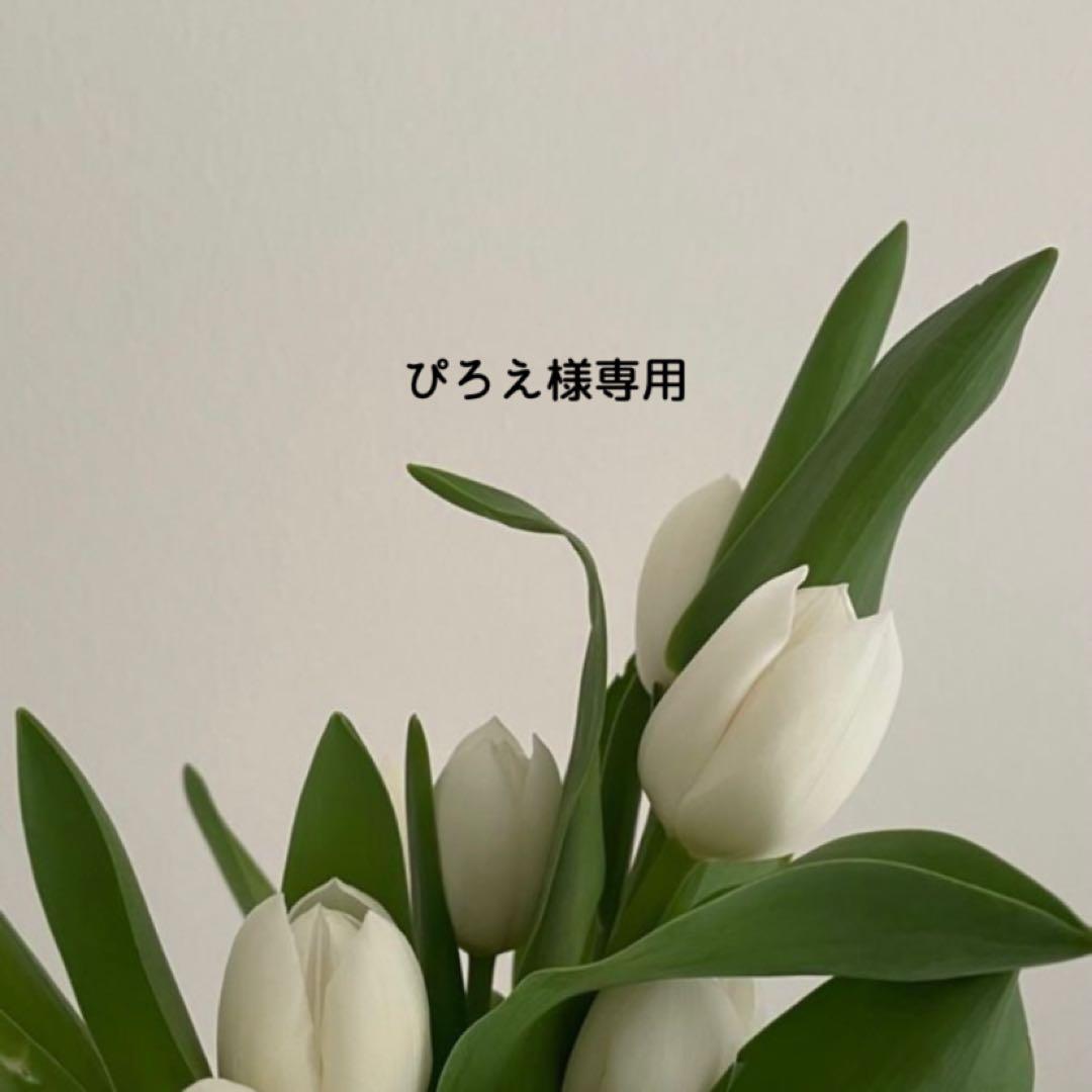 ぴろえ スピケア V3 Cエマルジョン 乳液 新品 正規品