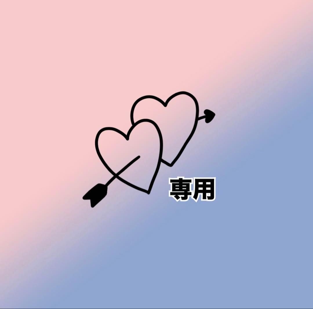 【専用】SEVENTEEN トレカ バインダー Attacca