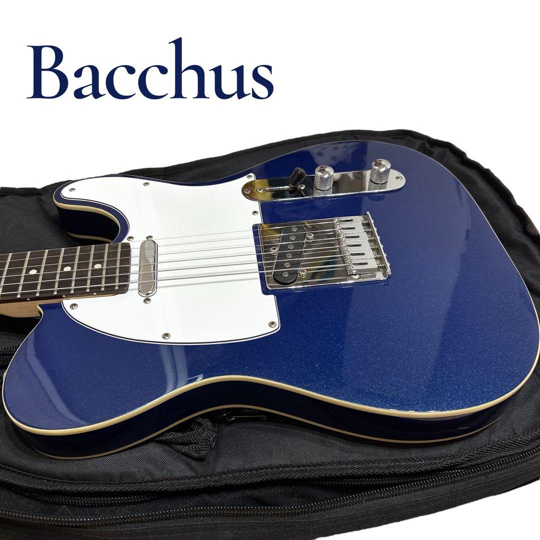 ★美品★ Bacchus バッカス テレキャスター ダブル バインディング