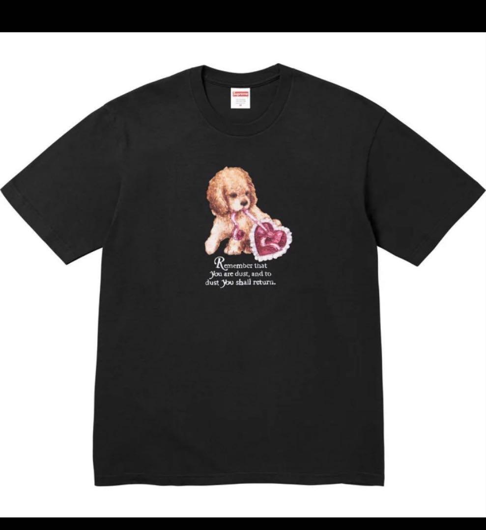 トップス Supreme Dust Tee Black M