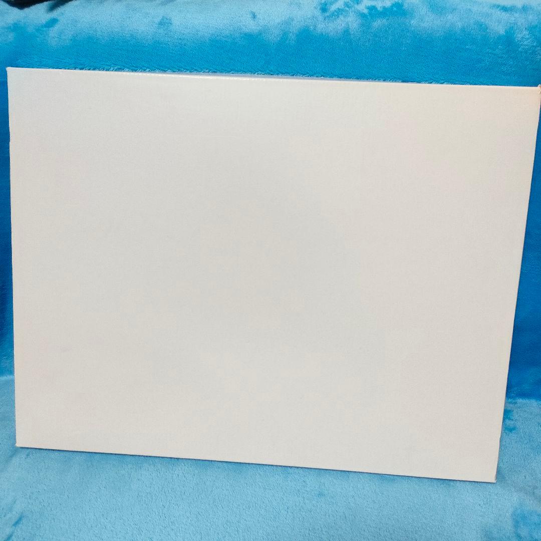 【未使用品】輝きの朝 Ｍサイズ / 作者ヒヂリンゴ・聖 / KAWAII ART