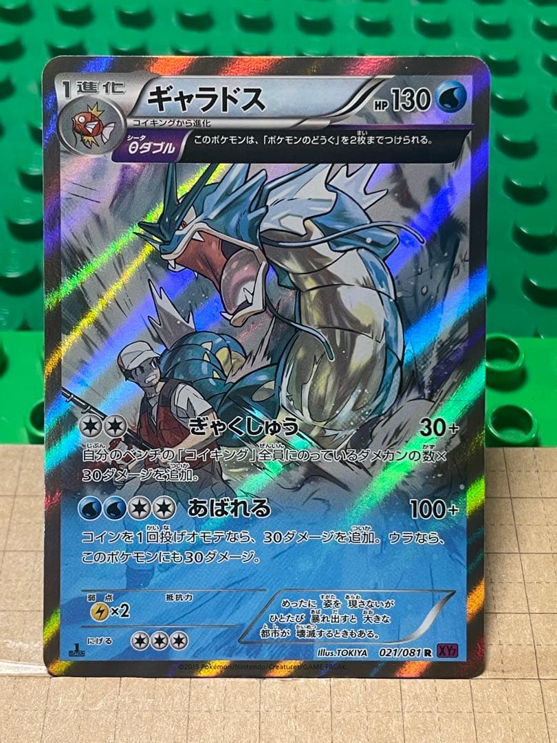 ギャラドス　 XY厳選コレクション