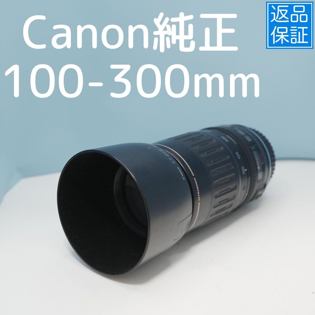 Canon純正 100-300mm 望遠レンズ a4658