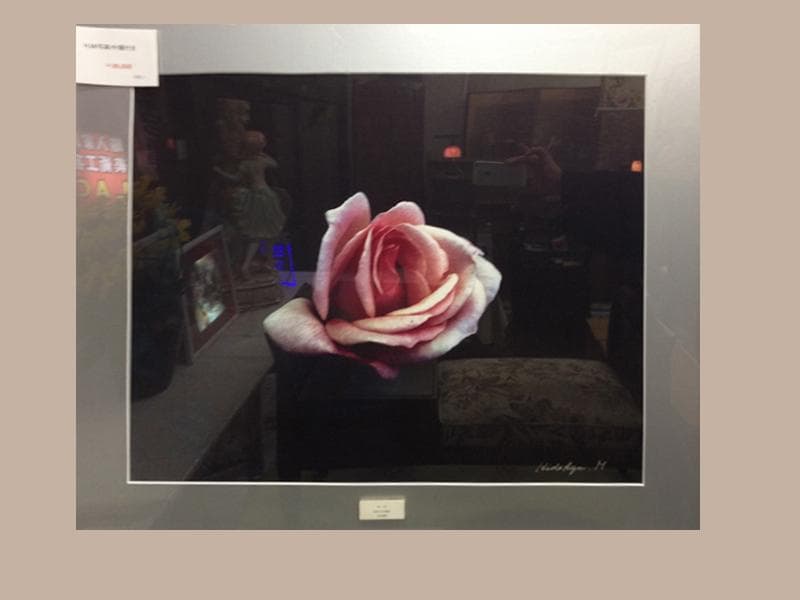 期間限定特価！　特大芸術写真 A2バラ 薔薇 ROSE 額付 70 X 79