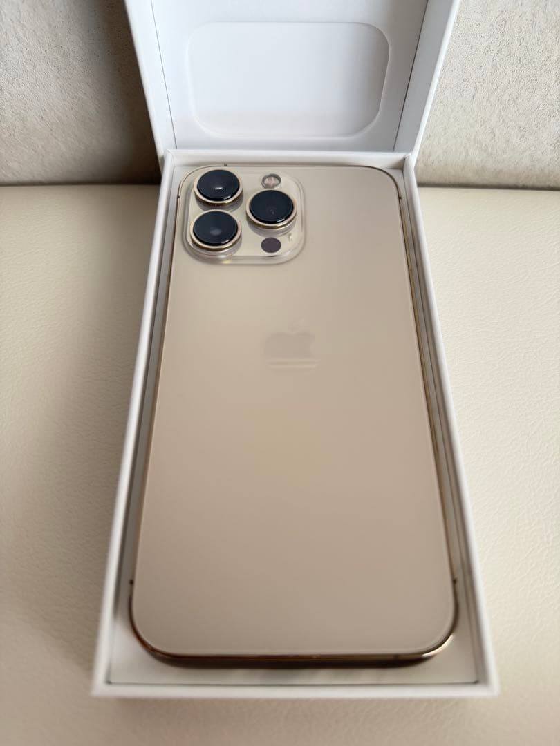Apple iPhone 13 Pro ゴールド 本体＋充電ケーブル