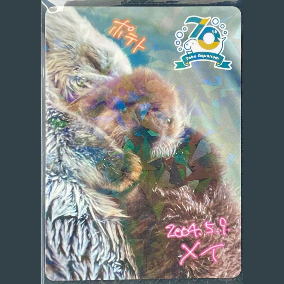 p*読様 【激レア】鳥羽水族館　コレクションカード　メイ　ポテト　ラッコ　赤ちゃ
