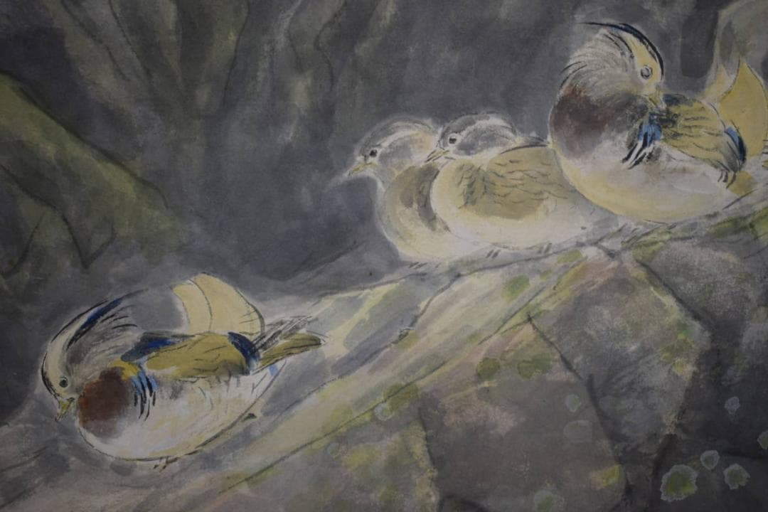 真作/池田興雲/渓流水鳥図/布袋屋掛軸HJ-304