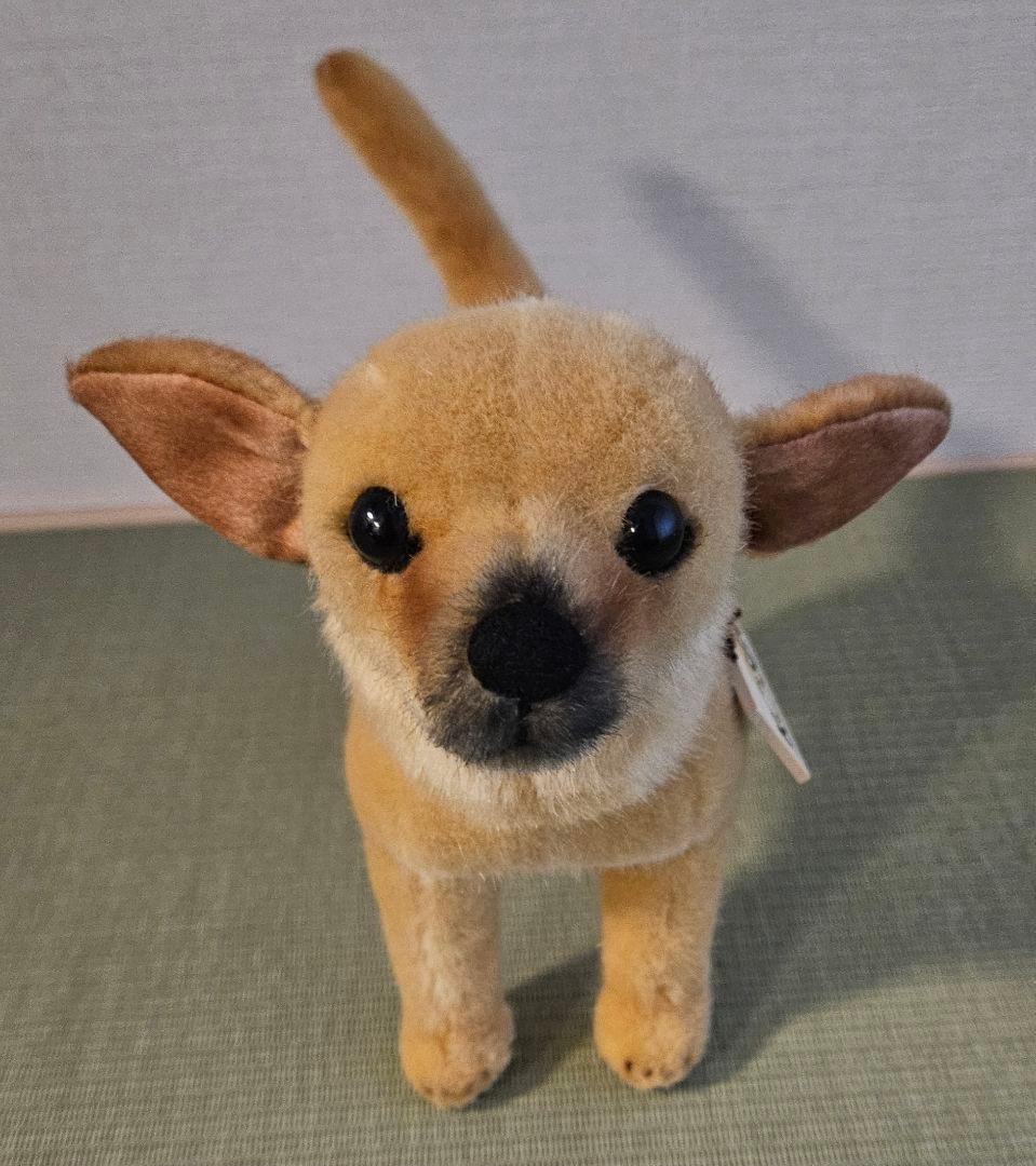 ケーセン チワワ