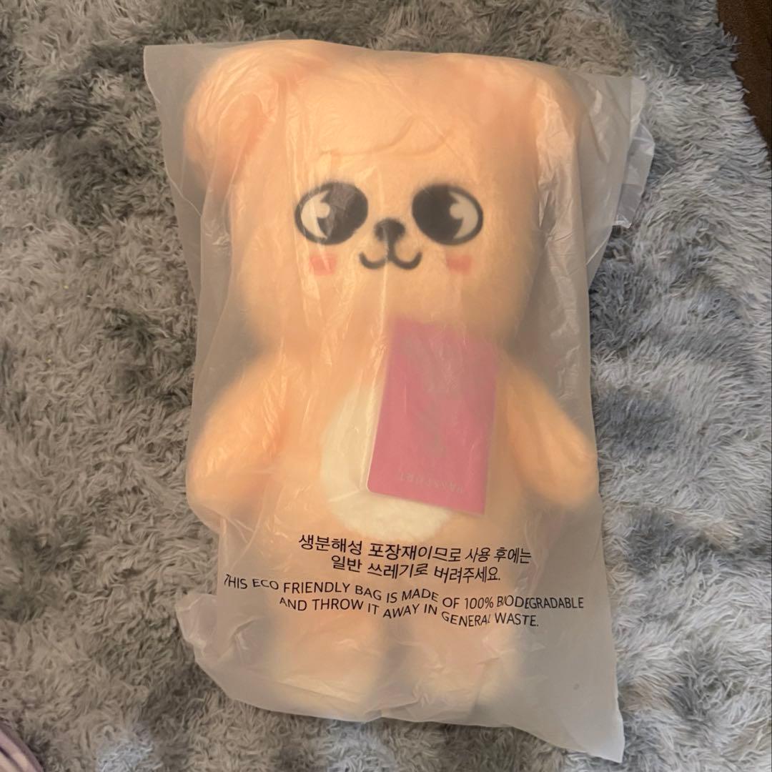 テディベア パピーム puppyM スンミン seungmin SKZOO