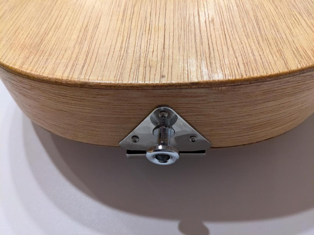 初心者用フラットマンドリン（1990年代製作）専用ハードケース付