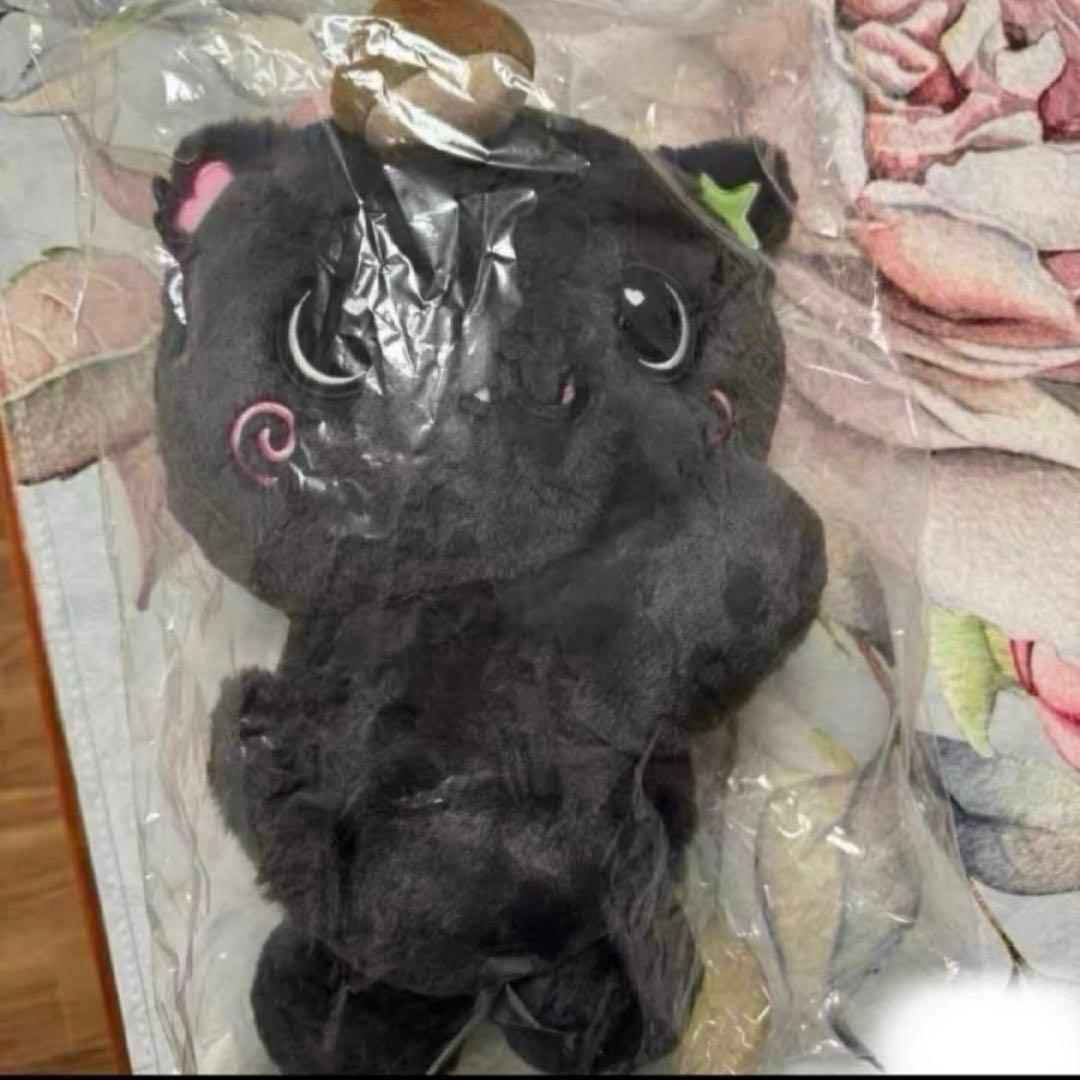 NCT WISH LOGIN ぬいぐるみ バック リク クリ トレカ無し