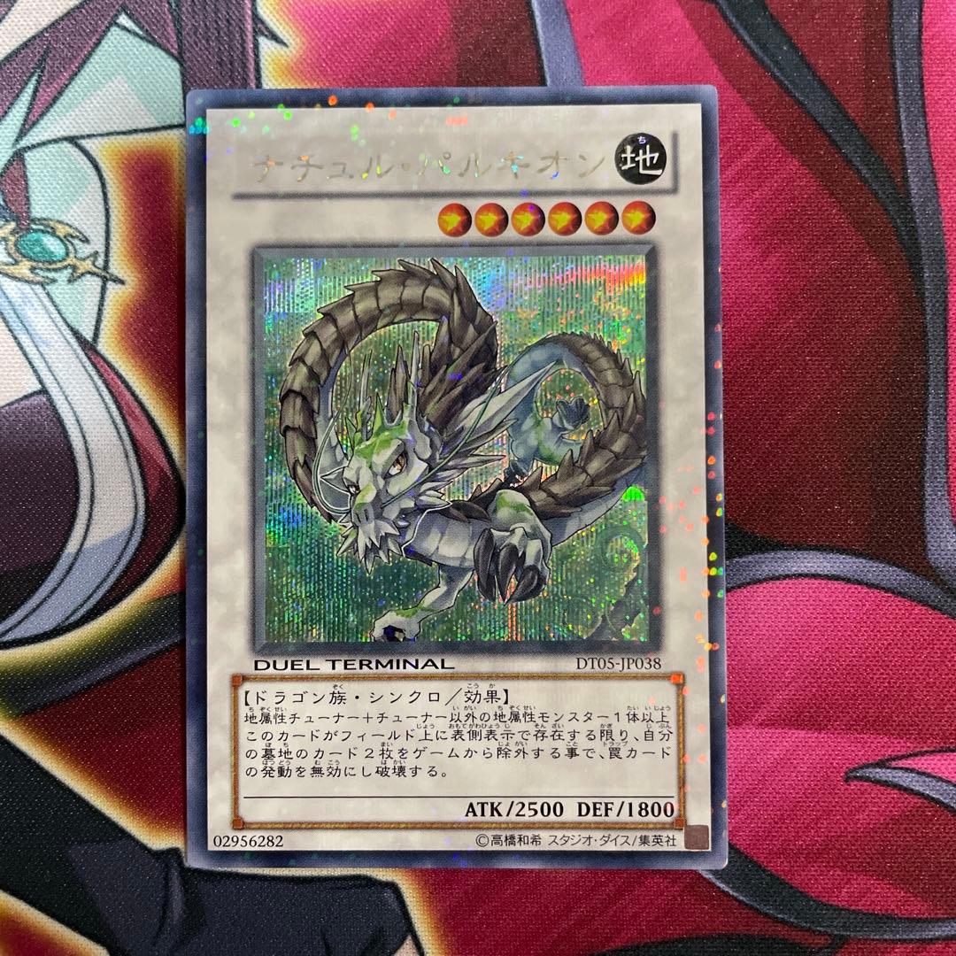 遊戯王　パルキオン　シク　③