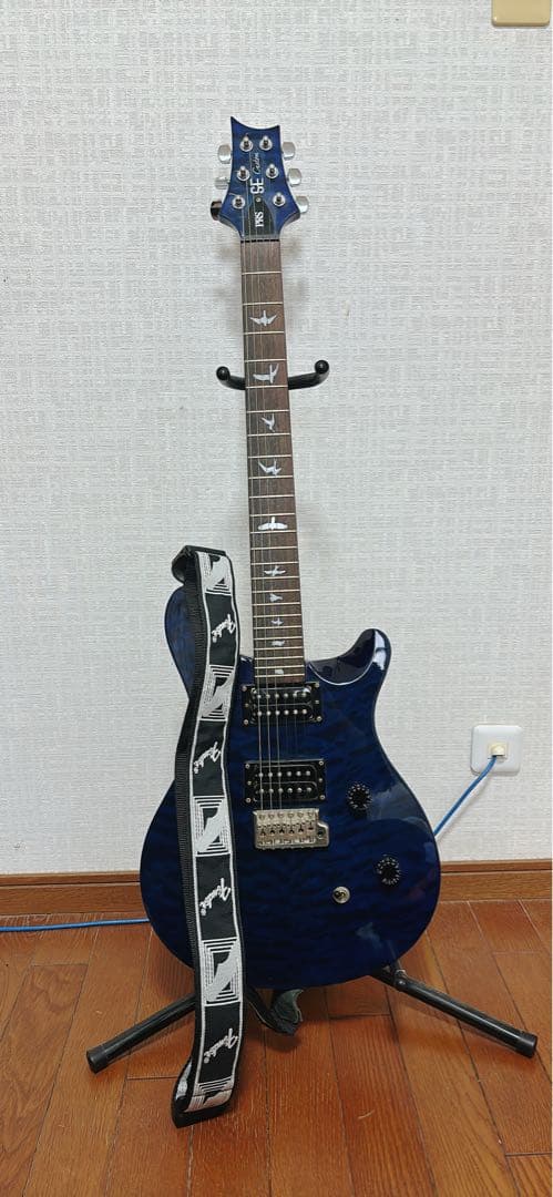 PRS SE Custom24 エレキギター (ストラップ、シールド付き)