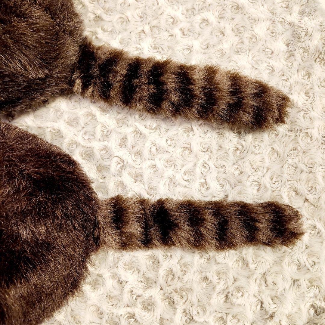 昭和レトロ　ファースト　アライグマ帽子