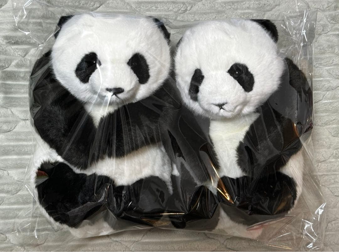 上野動物園 パンダ ぬいぐるみ抱っこミニ 暁暁 蕾蕾 シャオシャオ レイレイ