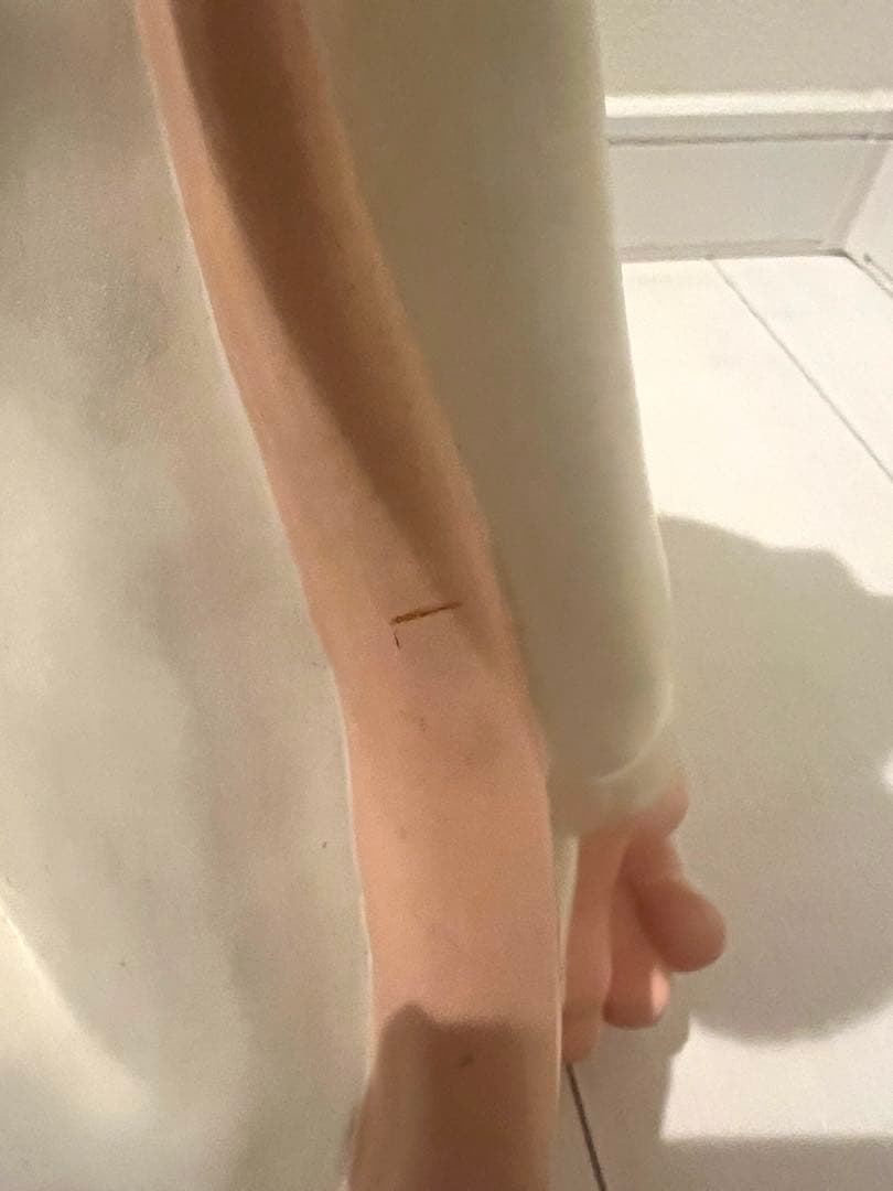 ワーナーブラザース　ピンキー&ブレイン