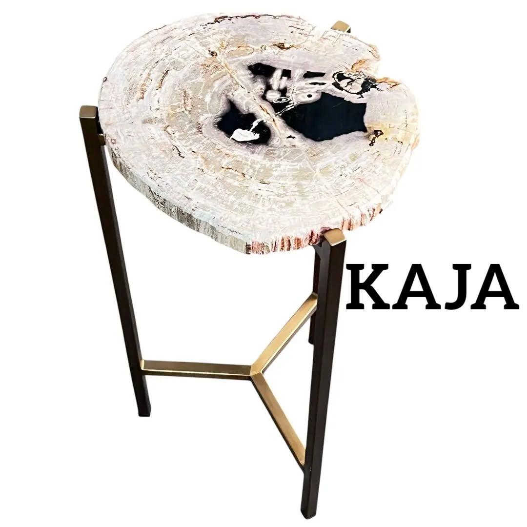 KAJA カジャ 木化石 サイドテーブル (H55)