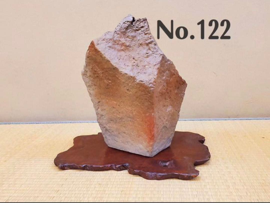 （No122）山野草　水草　鉢　龍聖作　令6