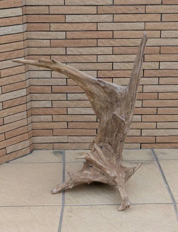 流木(630)　大型流木2点セット　アクアリウム　テラリウム