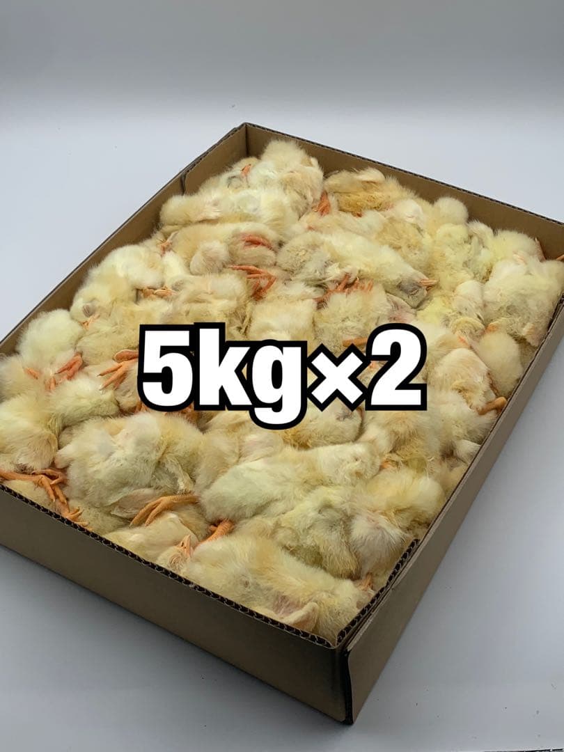 冷凍ヒヨコ5kg×2段【送料込】