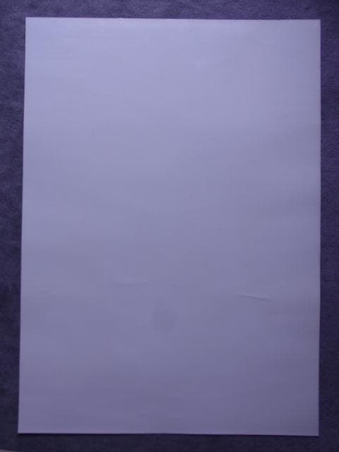 未使用　非売品　PC　ポスター　スタークラフト　STAR CRAFT　ブリザード