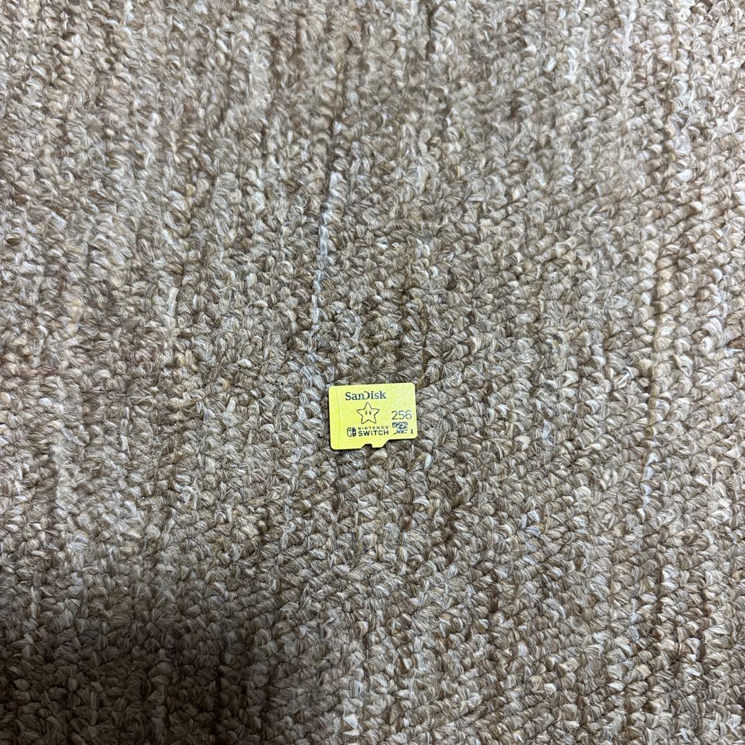 d*2様 Nintendo Switch 本体＋SDカード