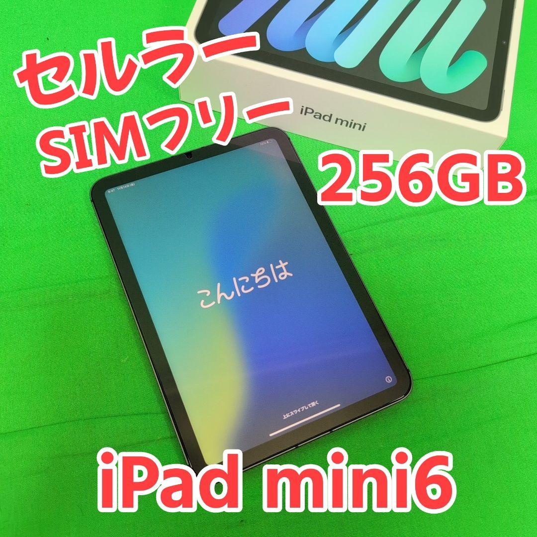 【美品最高スペック】 iPad mini6 セルラー 256GB スペースグレー