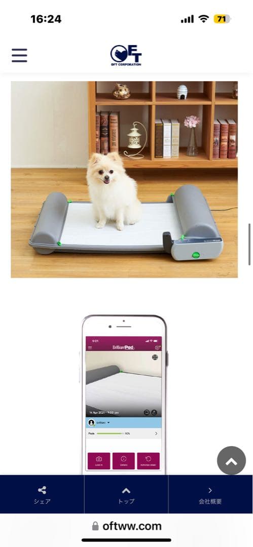 【OFT】ブリリアントパッド SMART 【全自動 犬トイレ】