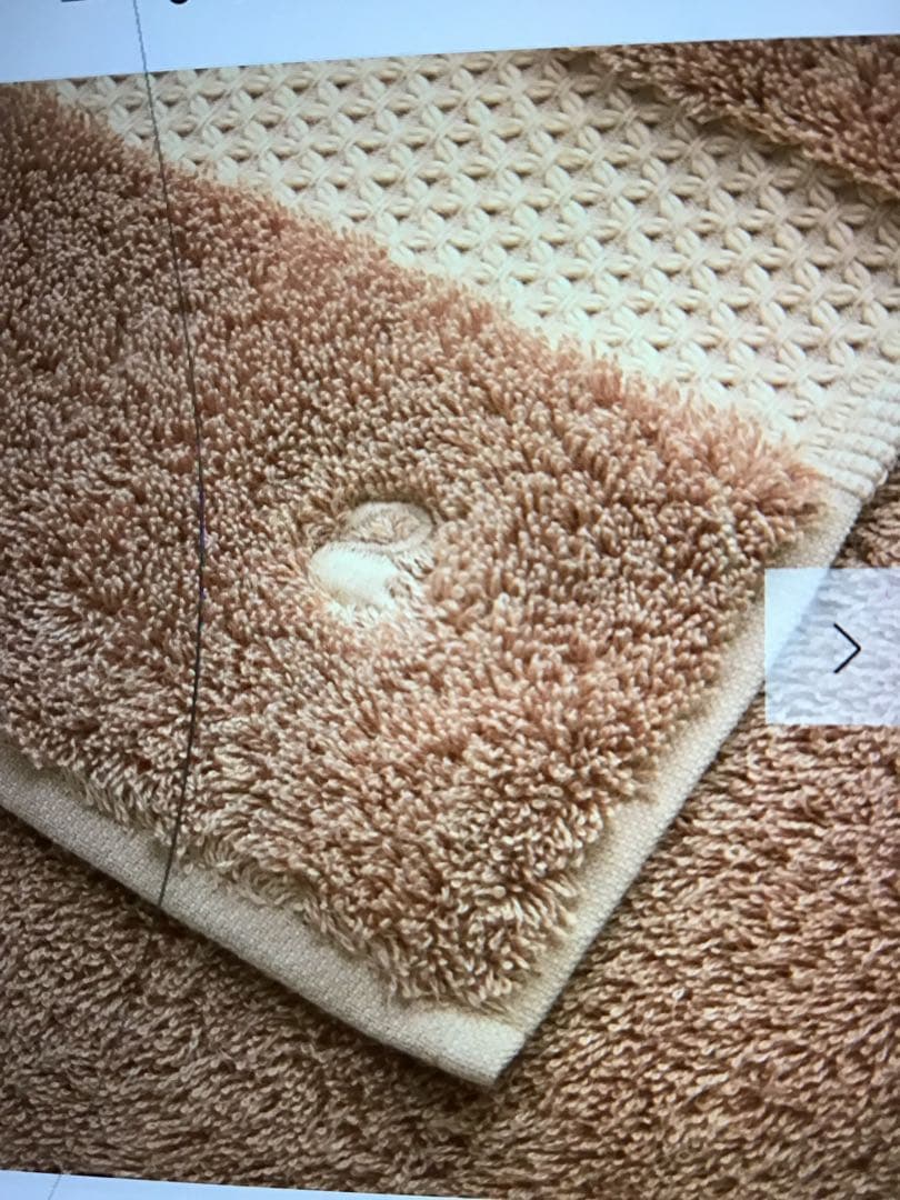 新品未使用品　イヴドローム　日本未発売/エトワール　大判タオル