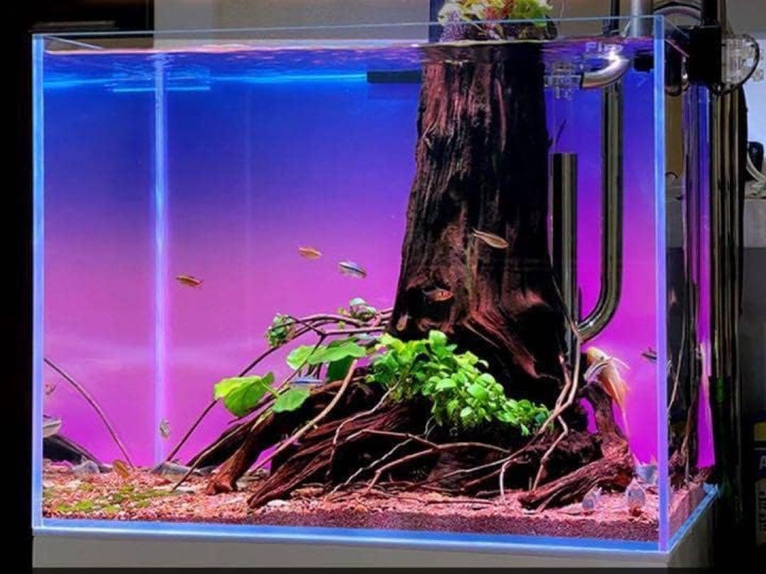 水槽　カラー　バックライトスクリーン　90cm×45cm　アクアリウム　LED