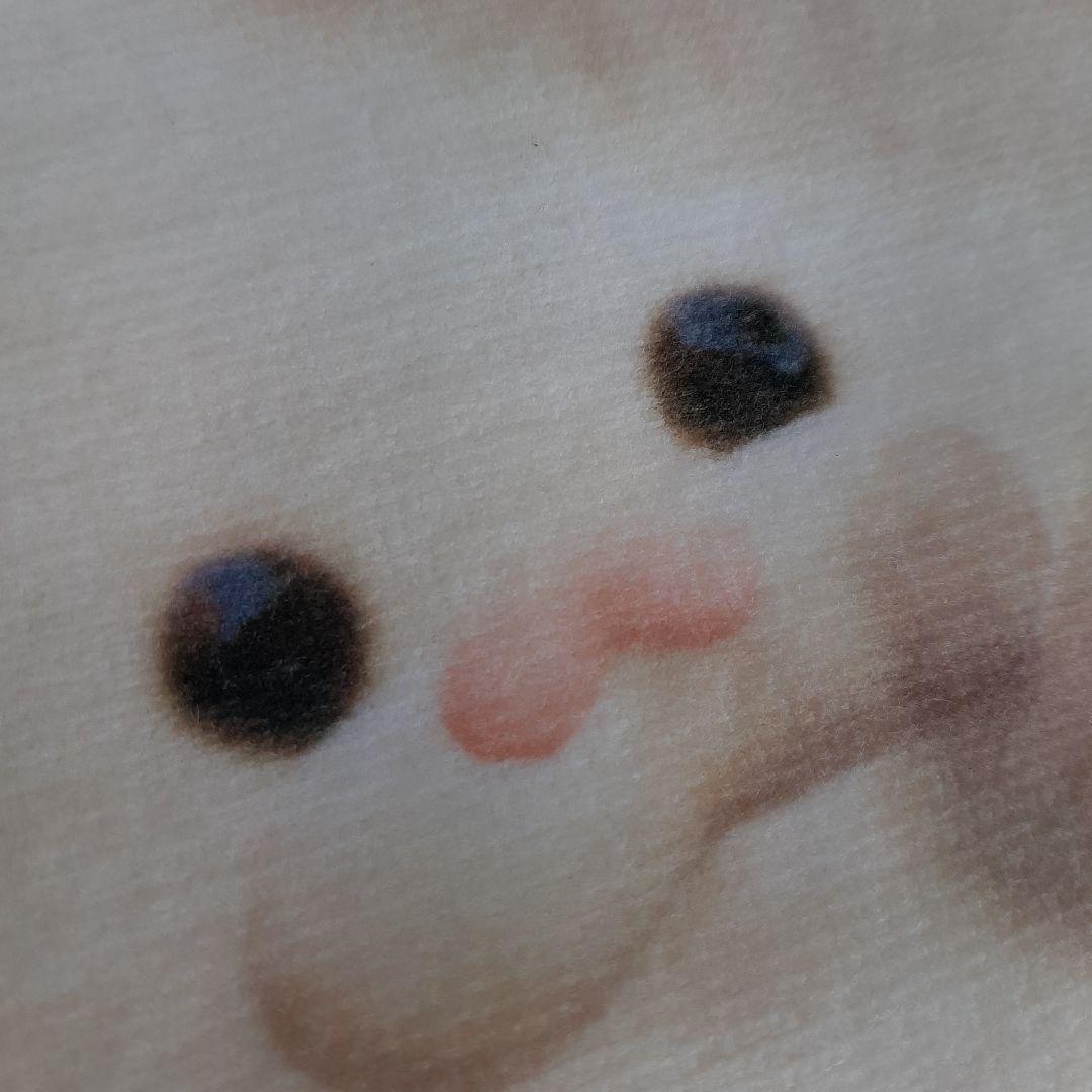 吉住渉　ミントな僕ら　サイン色紙　レア　平成