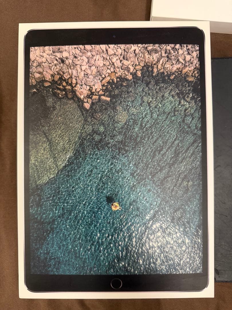 iPad本体 iPad Pro 9.7inch 256GB WiFi/Celler