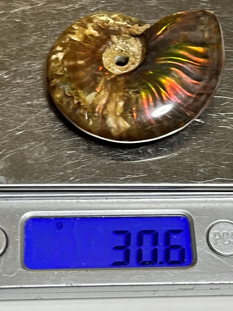 カナダ・アルバータ州産オパール化アンモナイト　ファイヤーアンモナイト約30.6g