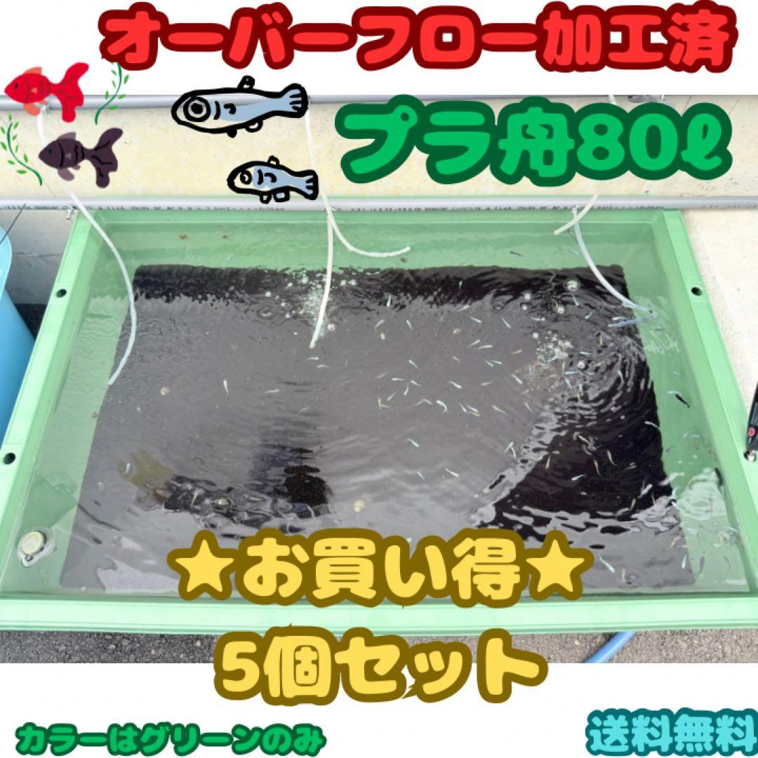 メダカ容器オーバーフロー加工トロ舟80L5個セット プラ舟 NVボックス メダカ