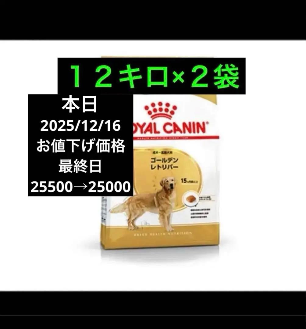 CANIN ゴールデンレトリバー 12kg×2袋　ロイヤルカナン