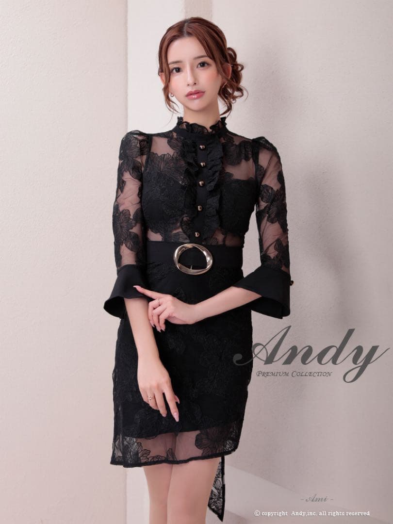 レースタイトドレス ブラック Andy