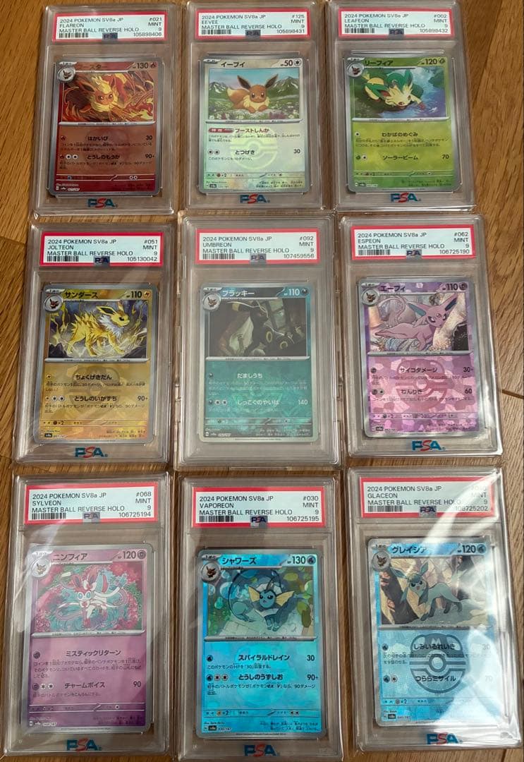 ブイズ　マスターボールミラー　PSA9 テラスタルフェス　ブラッキー