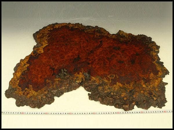 葡萄木 自然木 瘤 敷板 78cm×56cm 花梨 紅木 銘木(A466)