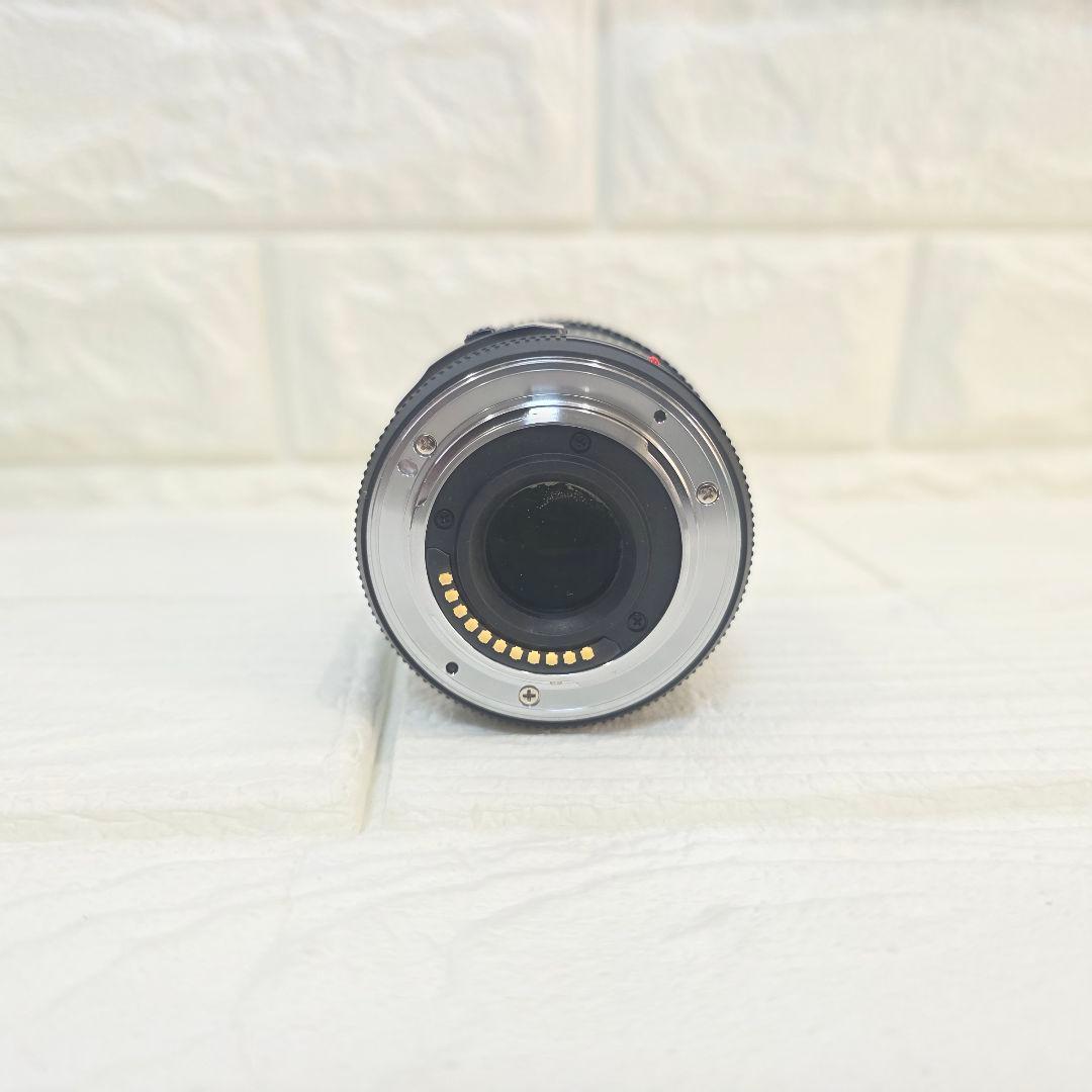 387】Panasonic LUMIX G 45-175mm H-PS45175