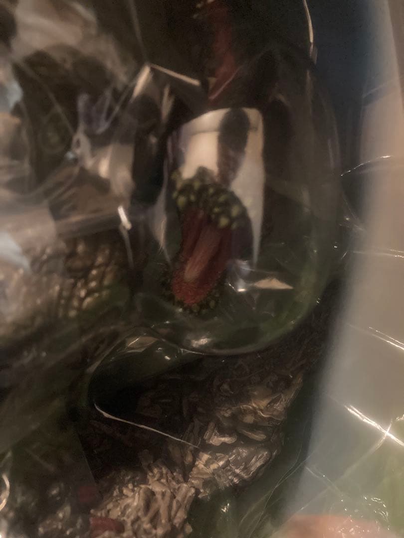 【新品未開封】 カプコンフィギュアビルダー クリエイターズモデル イビルジョー