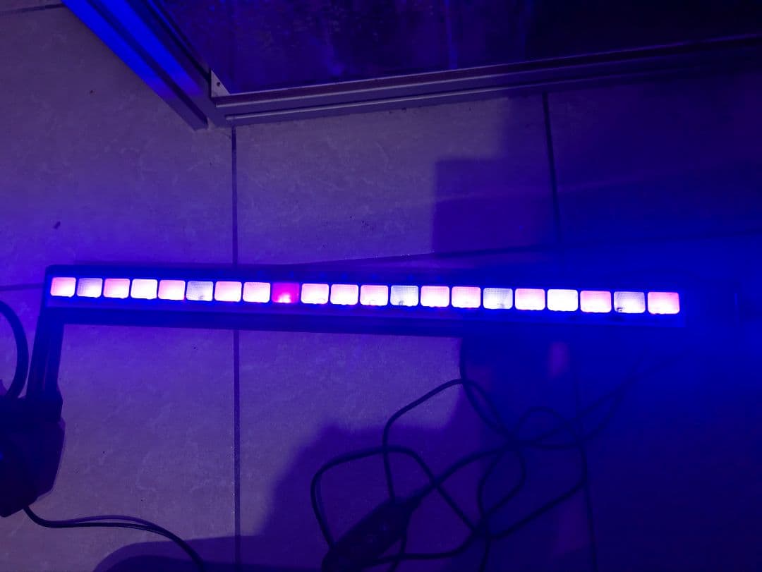 ライト・照明器具 ZOOX Actinic Shiner 60 Axis sift