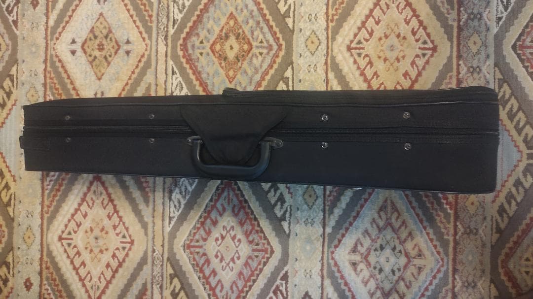 CARLO GIORDANO VS-2 4/4サイズ バイオリン 本体+弓2本