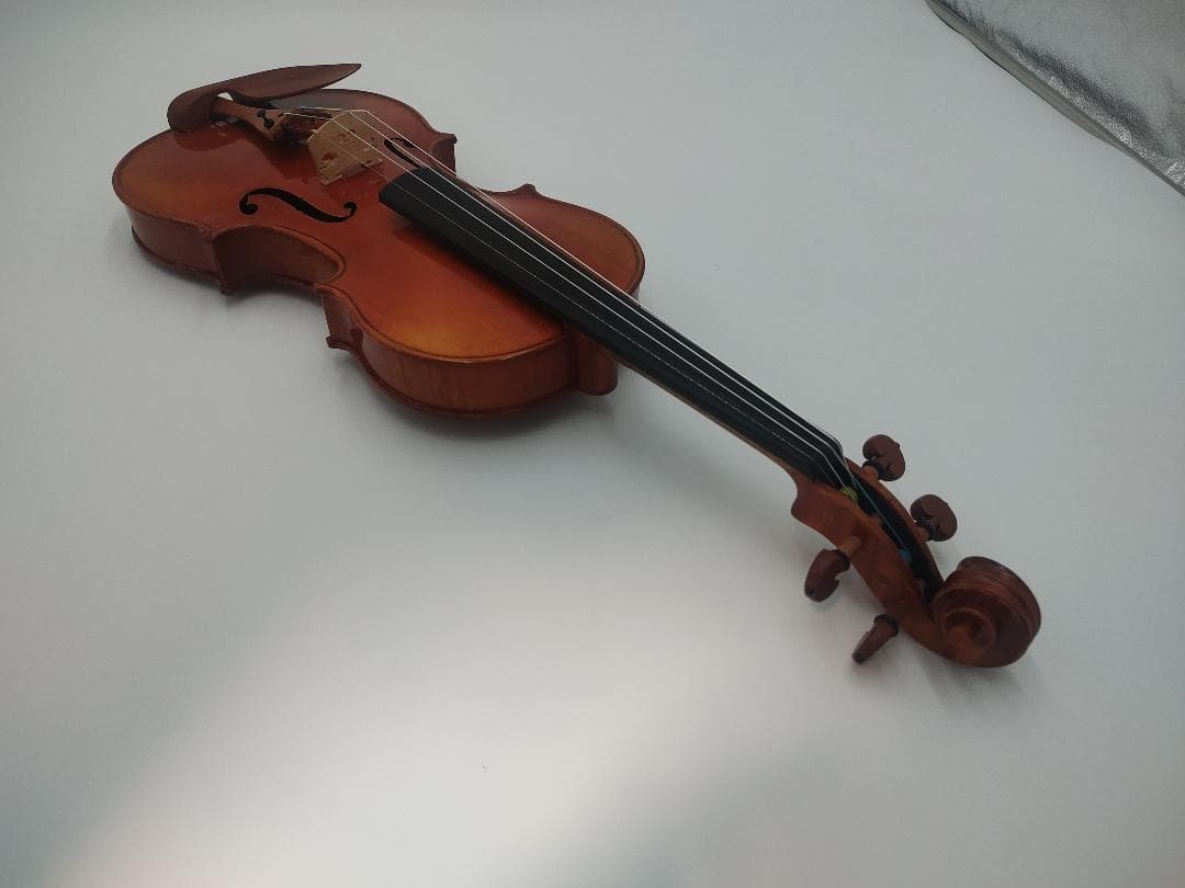 CARLO GIORDANO VS-2 4/4サイズ バイオリン 本体+弓2本
