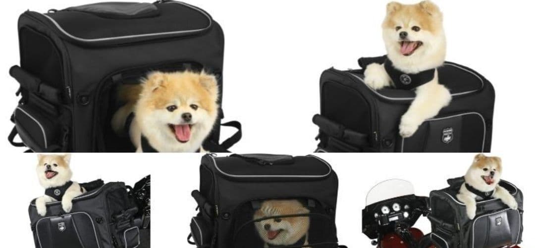 ネルソンリグ ペットキャリア バイク ペットキャリーバッグ ツーリングバック