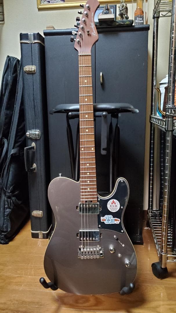 Bacchus TACTICS24-STD/RSM Gun-M ほぼ新品