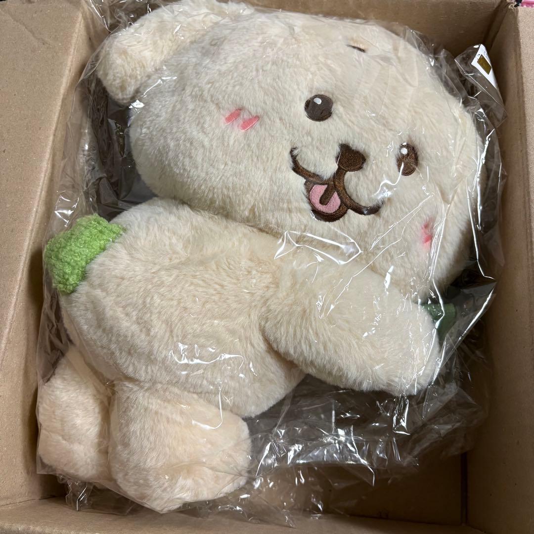 nctwish ジェヒ ぬいぐるみ