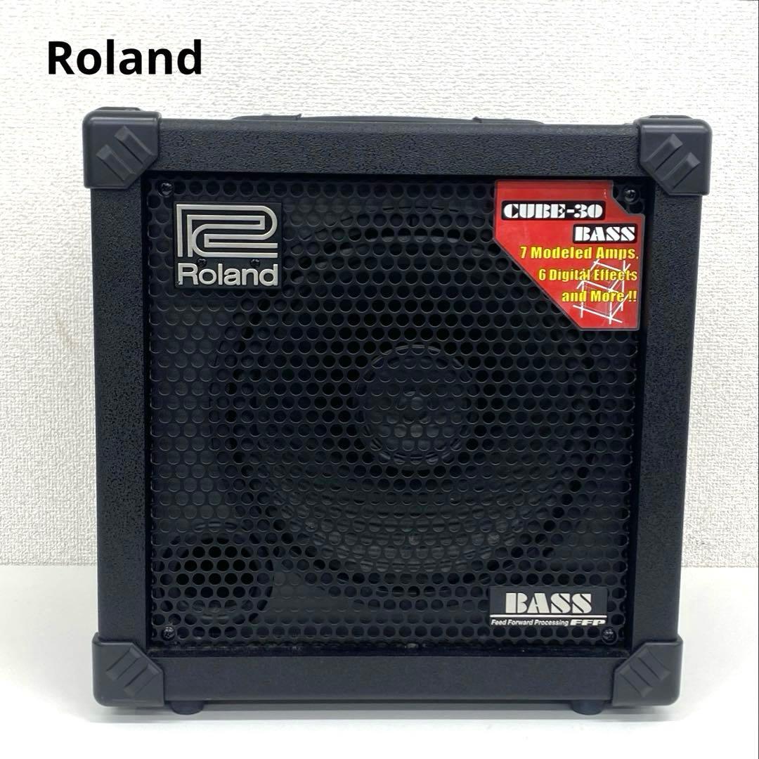 Roland ローランド CUBE-30 BASS CB-30 ベース用アンプ