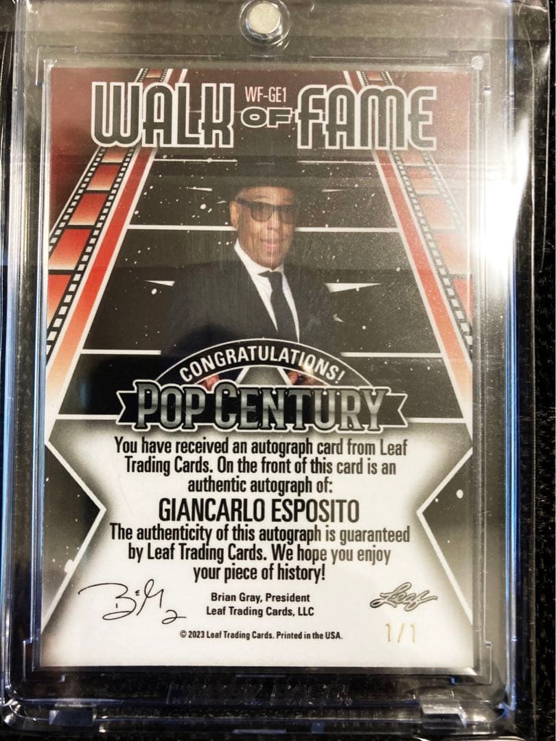 マロンダロリアンさん専用pop century 1/1 Giancarlo Es