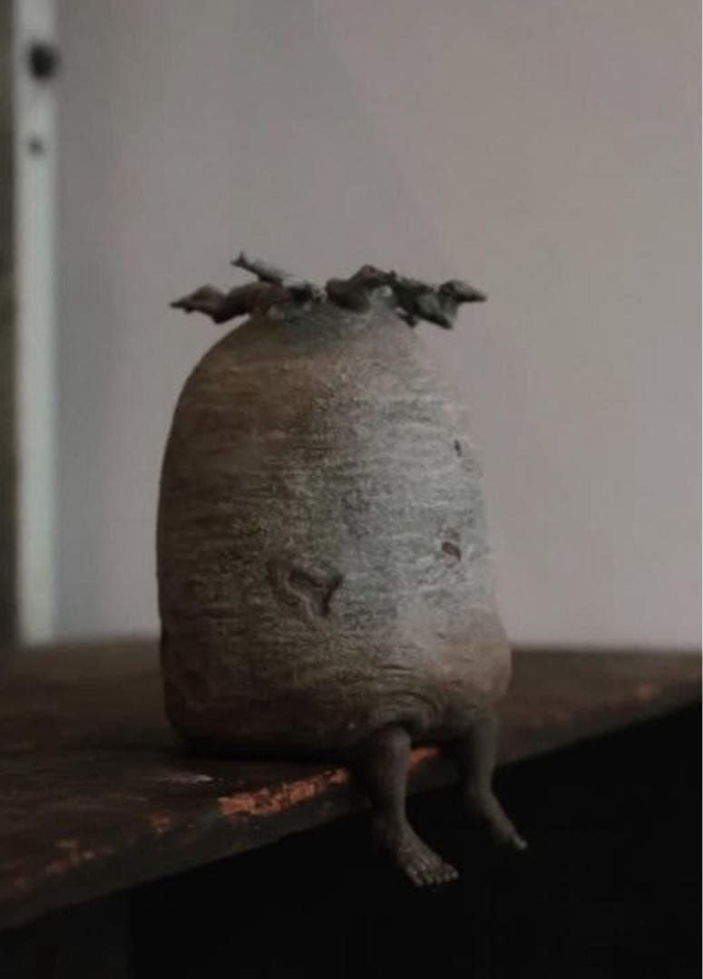 新品 ozwrt BaobabMan バオバブマン　ssサイズ